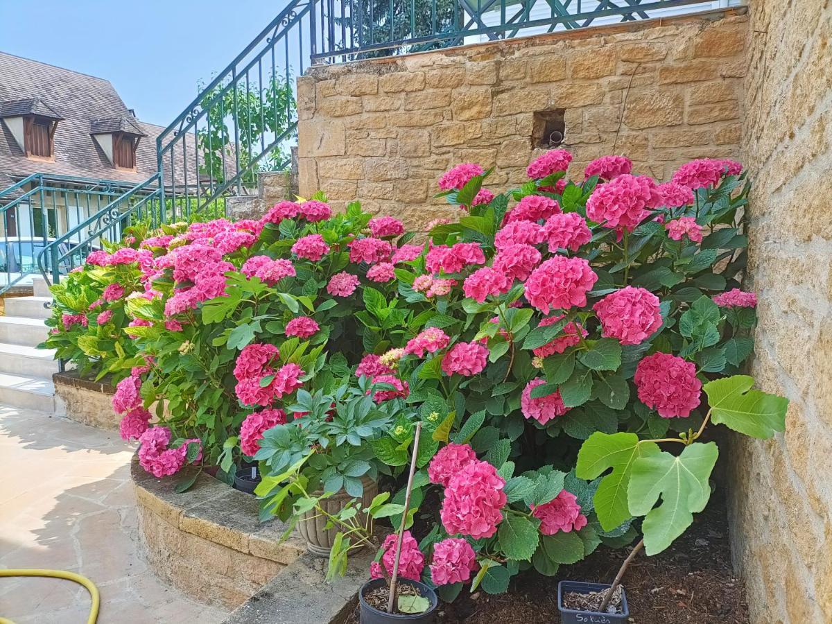 La Villa Perigourdine Sarlat-la-Caneda Ngoại thất bức ảnh